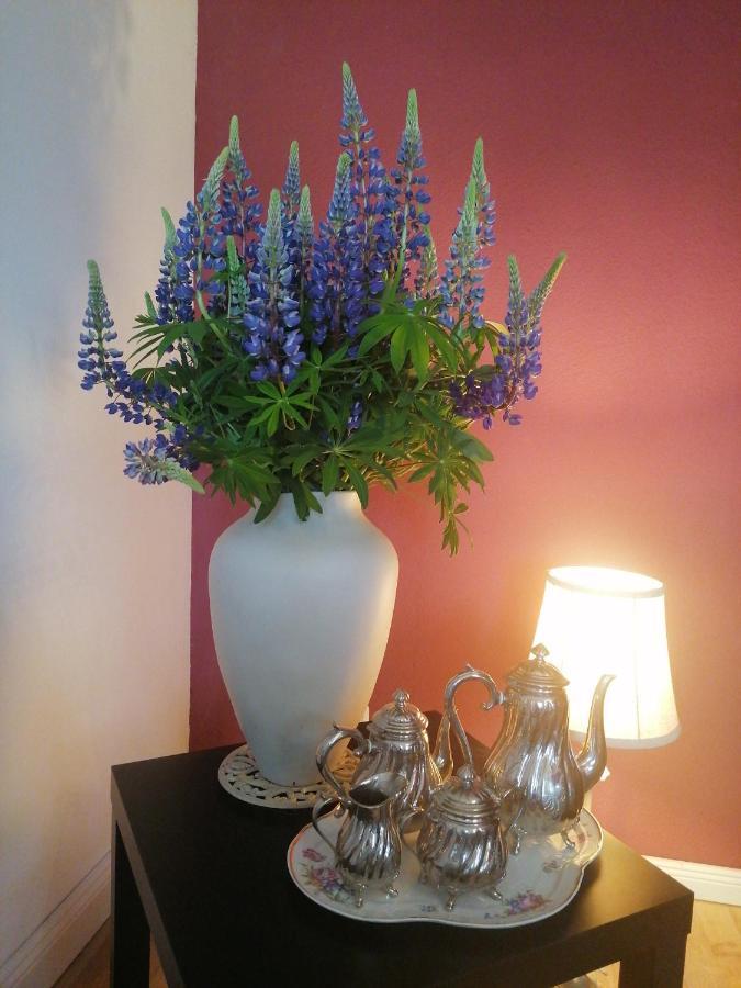נוירופין Bed&Breakfast Wagner "Im Alten Pfarrhaus" מראה חיצוני תמונה